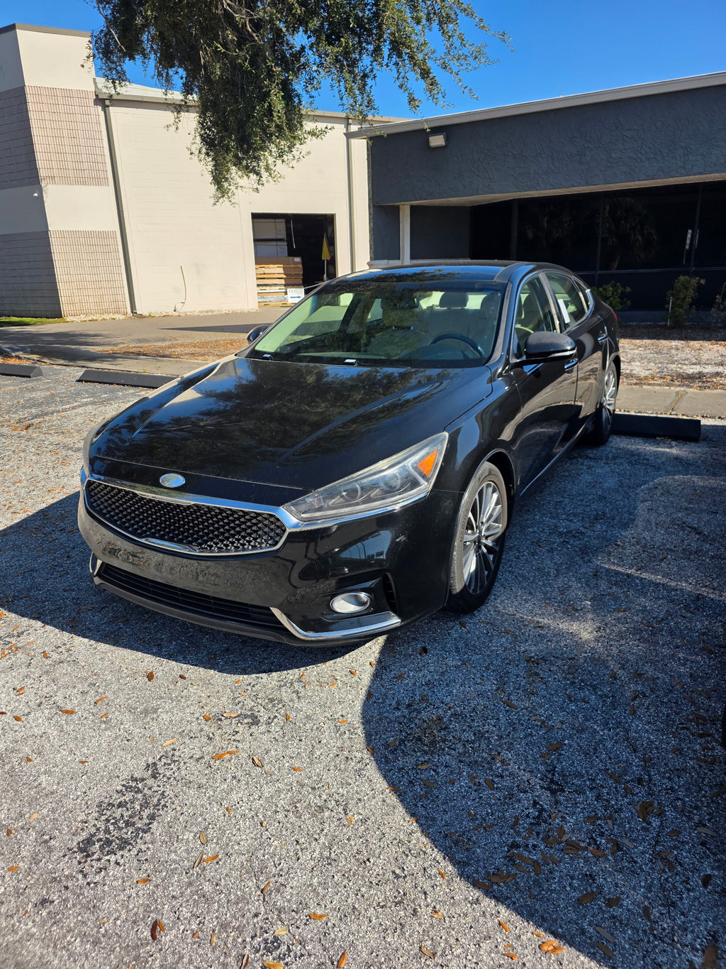 2017 Kia Cadenza